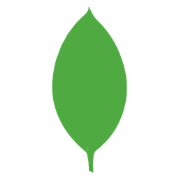 ruby icon